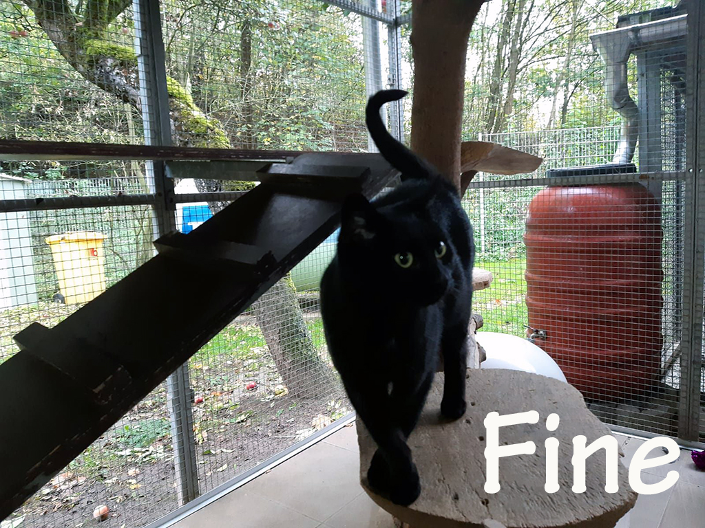 Fine_slider