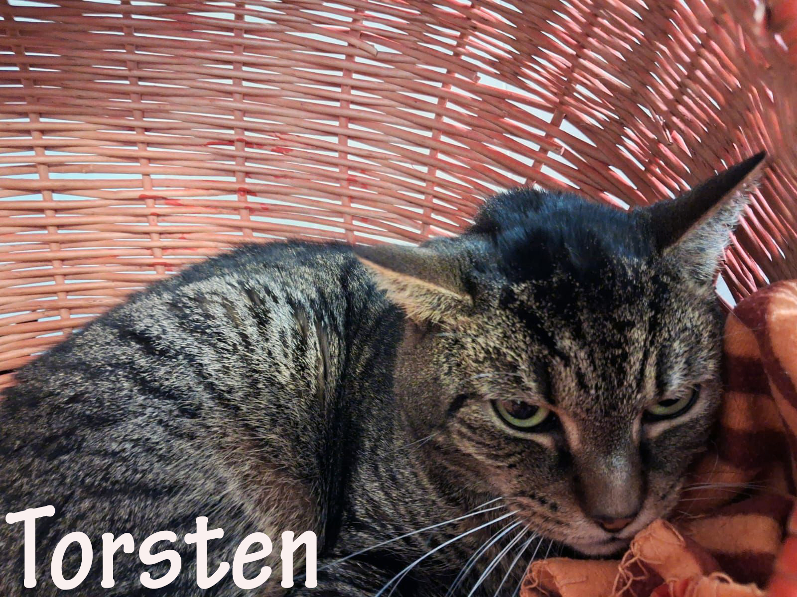 Torsten_slider