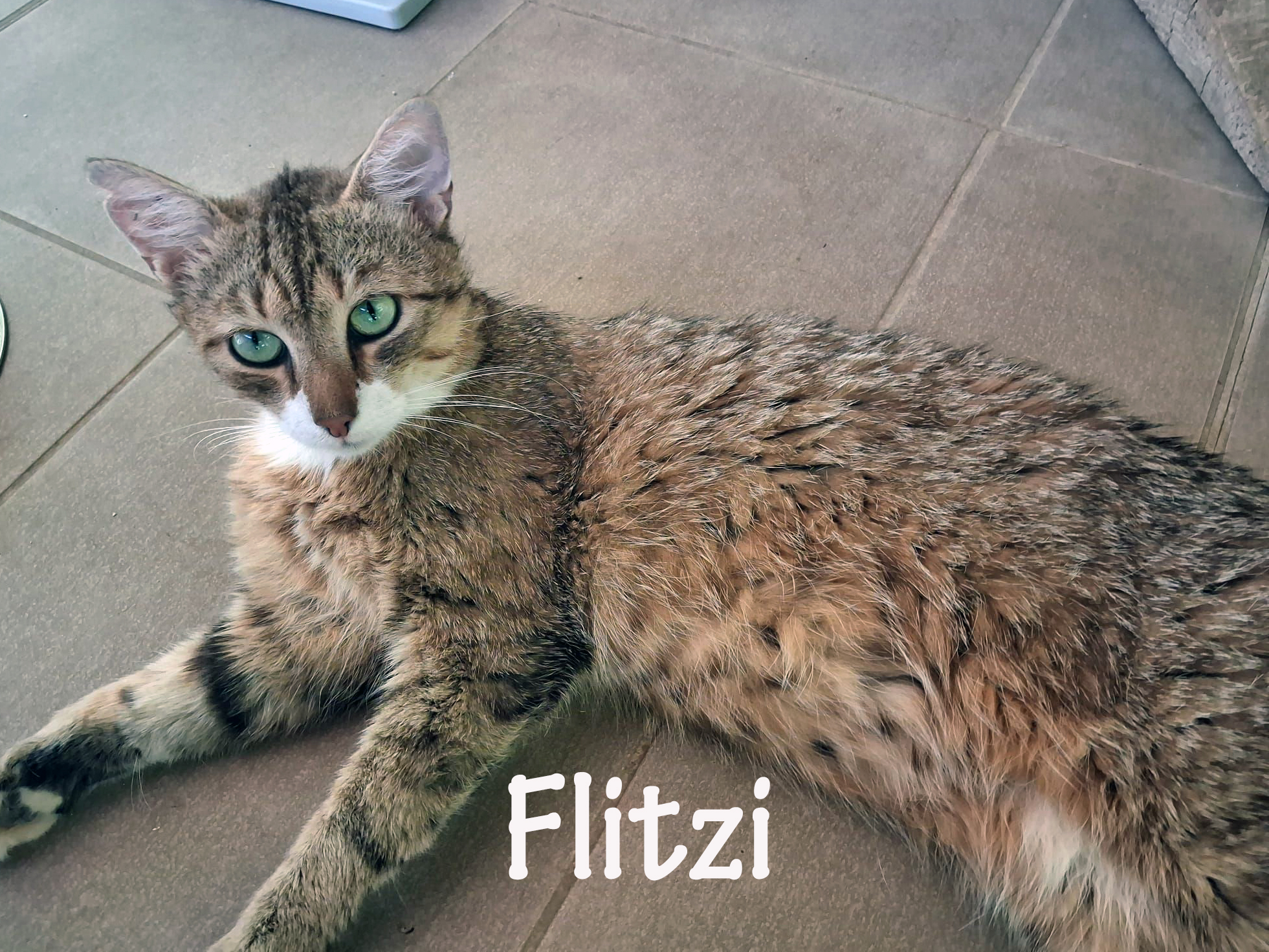 flitzi_slider