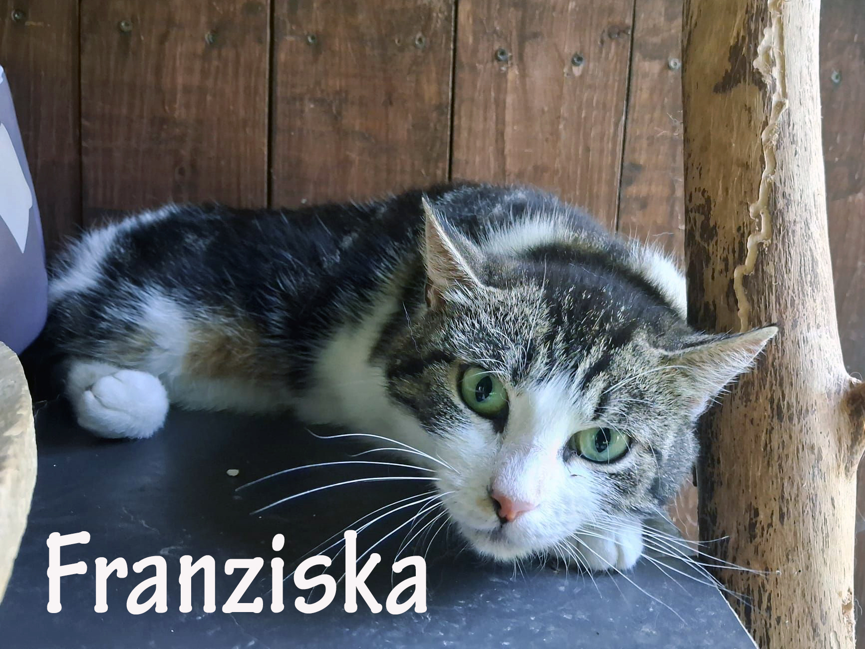 franziska_slider