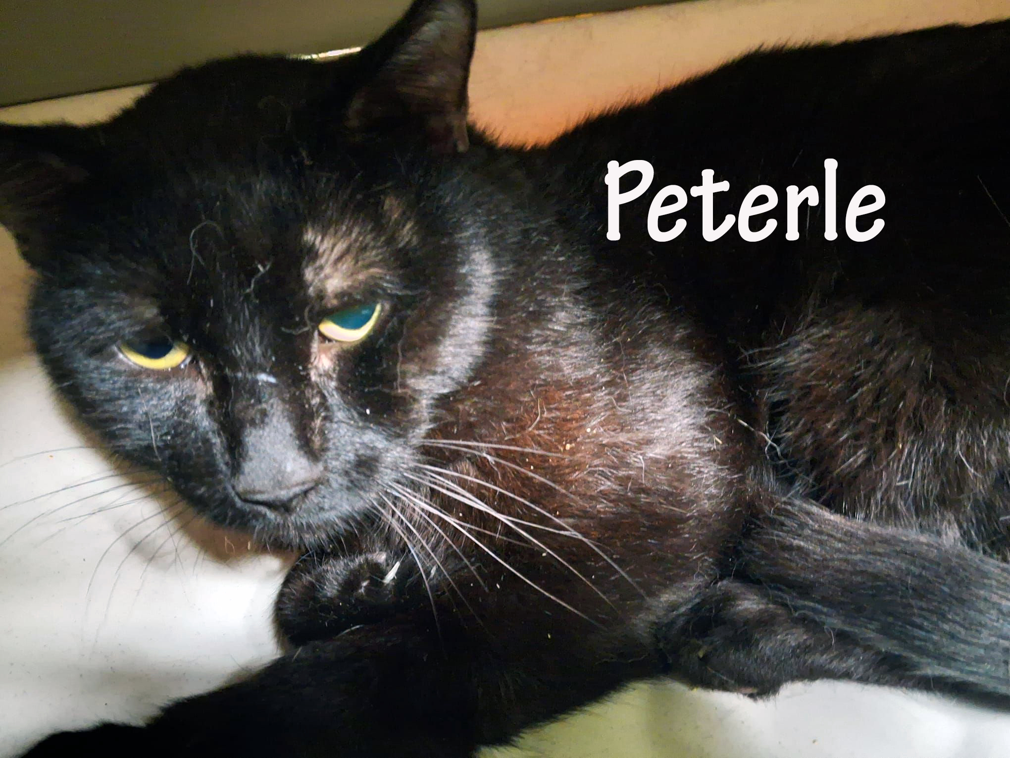 peterle_slider